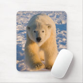Eisbär, Ursus maritimus, Eisbär Mousepad (Mit Mouse)