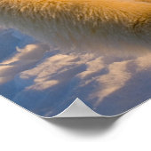 Eisbär, Ursus maritimus, Eisbär Poster (Ecke)