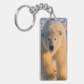 Eisbär, Ursus maritimus, Eisbär Schlüsselanhänger (Vorderseite links)
