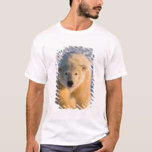 Eisbär, Ursus maritimus, Eisbär T-Shirt