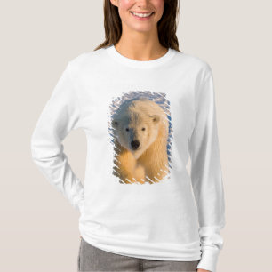 Eisbär, Ursus maritimus, Eisbär T-Shirt