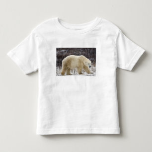 Eisbär Ursus maritimus) in Churchill Kleinkind T-shirt