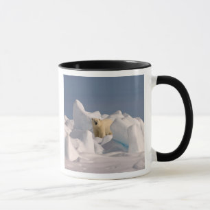 Eisbär, Ursus maritimus, in rauen Eisflächen Tasse
