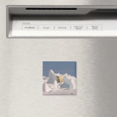 Eisbär, Ursus maritimus, in Roheis Magnet (In Situ (Geschirrspüler))