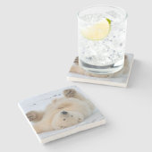 Eisbär, Ursus maritimus, Junges, das 3 rollt Steinuntersetzer (Seitenansicht)