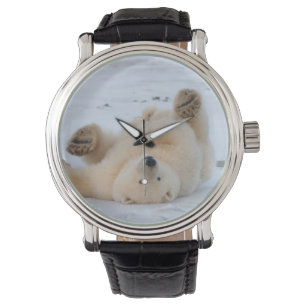 Eisbär, Ursus maritimus, Jungtier rollt 3 Armbanduhr