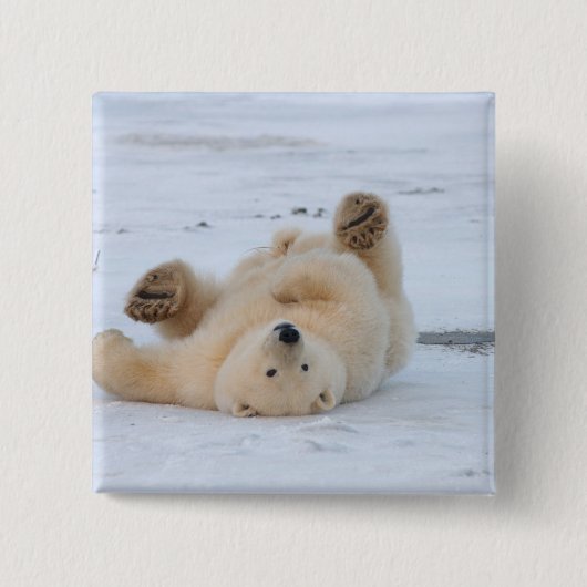 Eisbär, Ursus maritimus, Jungtier rollt 3 Button (Vorderseite)