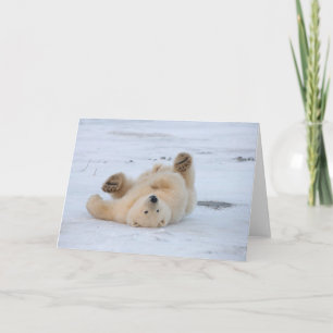 Eisbär, Ursus maritimus, Jungtier rollt 3 Karte