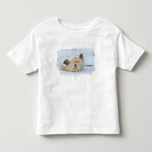 Eisbär, Ursus maritimus, Jungtier rollt 3 Kleinkind T-shirt