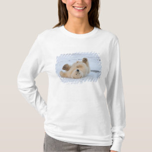 Eisbär, Ursus maritimus, Jungtier rollt 3 T-Shirt
