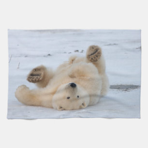Eisbär, Ursus maritimus, Jungtier rollt Handtuch