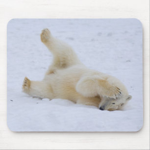 Eisbär, Ursus maritimus, Jungtier rollt Mousepad