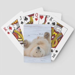 Eisbär, Ursus maritimus, Jungtier rollt Spielkarten