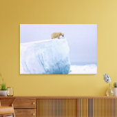 Eisbär, Ursus maritimus Leinwanddruck (Insitu (Wohnzimmer))