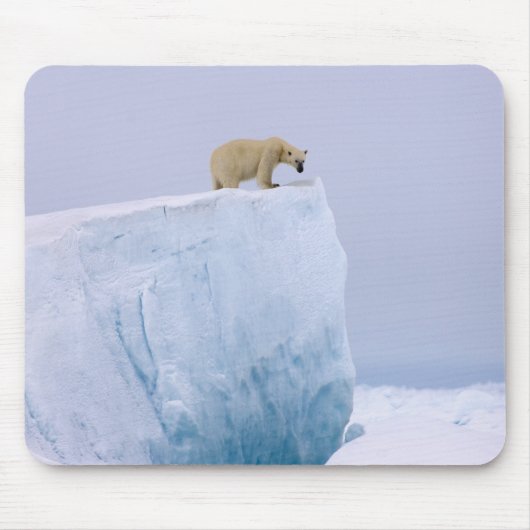 Eisbär, Ursus maritimus Mousepad (Vorne)