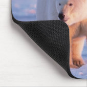 Eisbär, Ursus maritimus Mousepad (Ecke)