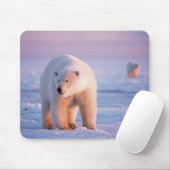 Eisbär, Ursus maritimus Mousepad (Mit Mouse)