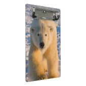 Eisbär, Ursus maritimus, polar betreffen Eis Mini Klemmbrett (Schrägansicht)
