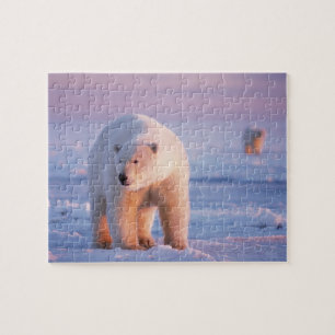 Eisbär, Ursus maritimus Puzzle