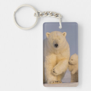 Eisbär, Ursus maritimus, Sau mit Neugeborenen Schlüsselanhänger