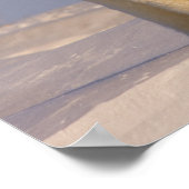 Eisbär, Ursus maritimus, Sauen mit Neugeborenem 3 Poster (Ecke)