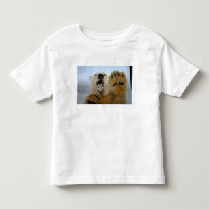 Eisbär, Ursus maritimus, schaut neugierig Kleinkind T-shirt