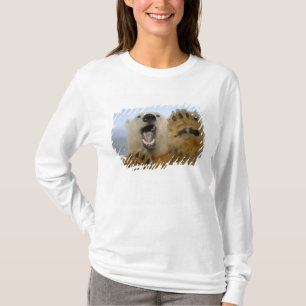 Eisbär, Ursus maritimus, schaut neugierig T-Shirt