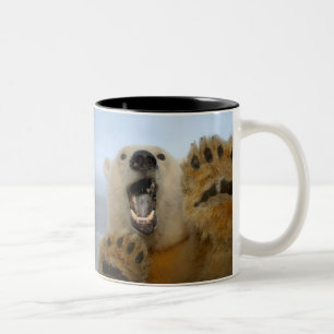 Eisbär, Ursus maritimus, schaut neugierig Zweifarbige Tasse