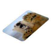 Eisbär, Ursus maritimus, sieht seltsam aus Magnet (Linke Seite)