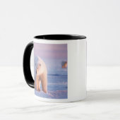 Eisbär, Ursus maritimus Tasse (Vorderseite Links)