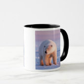 Eisbär, Ursus maritimus Tasse (VorderseiteRechts)