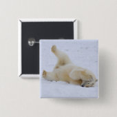 Eisbär, Ursus maritimus, würzig Button (Vorne & Hinten)