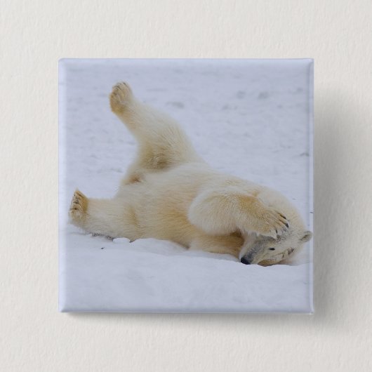 Eisbär, Ursus maritimus, würzig Button (Vorderseite)