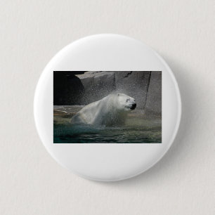 Eisbär vom Wasser schütteln Button