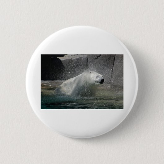 Eisbär vom Wasser schütteln Button (Vorderseite)