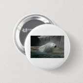Eisbär vom Wasser schütteln Button (Vorne & Hinten)