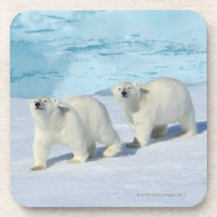 Eisbär, zwei Schalen auf Packeise, Ursus Getränkeuntersetzer