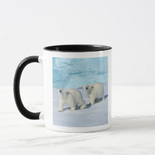 Eisbär, zwei Schalen auf Packeise, Ursus Tasse