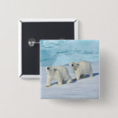 Eisbär, zwei Tassen auf Packeis, Ursus Button (Vorne & Hinten)