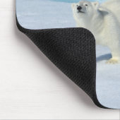 Eisbär, zwei Tassen auf Packeis, Ursus Mousepad (Ecke)