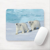 Eisbär, zwei Tassen auf Packeis, Ursus Mousepad (Mit Mouse)