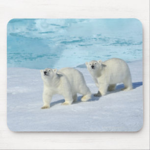 Eisbär, zwei Tassen auf Packeis, Ursus Mousepad