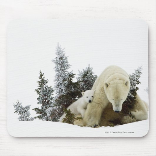 Eisbären an Wapusk Nationalpark Mousepad (Vorne)