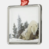 Eisbären an Wapusk Nationalpark Silbernes Ornament (Links)