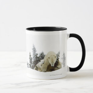Eisbären an Wapusk Nationalpark Tasse