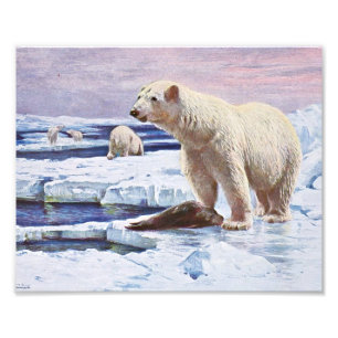 Eisbären auf Eisschollen Kunst Fotodruck