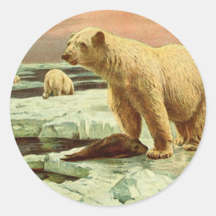 Eisbären auf Gletschern Vintage 1900s Kunstzeichnu Runder Aufkleber