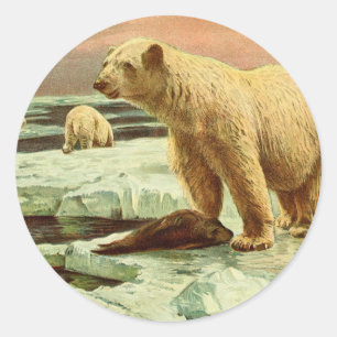 Eisbären auf Gletschern Vintage 1900s Kunstzeichnu Runder Aufkleber