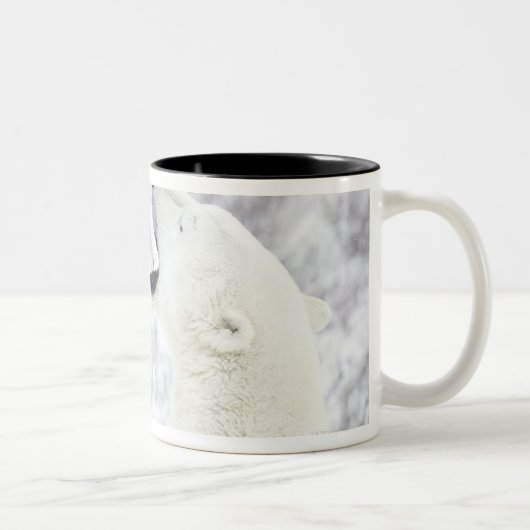 Eisbären, die im Schnee spielen Zweifarbige Tasse (Rechts)
