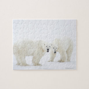 Eisbären, die nach 2 Jahren auf Schnee stehend sin Puzzle